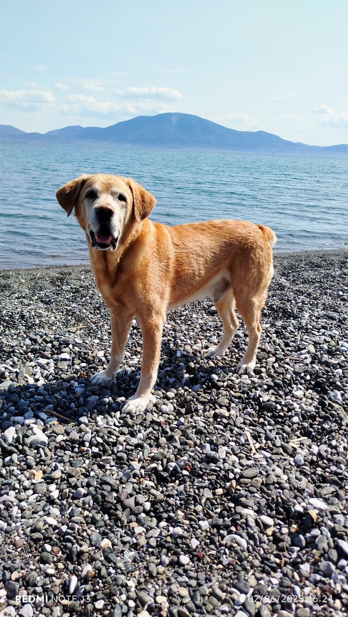 Έκανε και αυτός το πρώτο του μπάνιο.