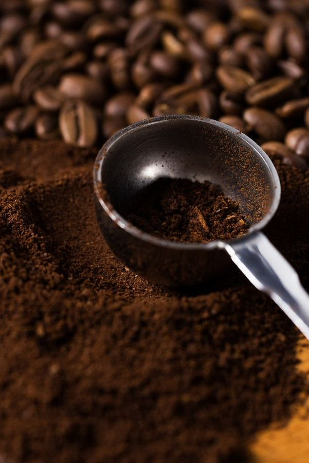 Jesus Osorio tweet media