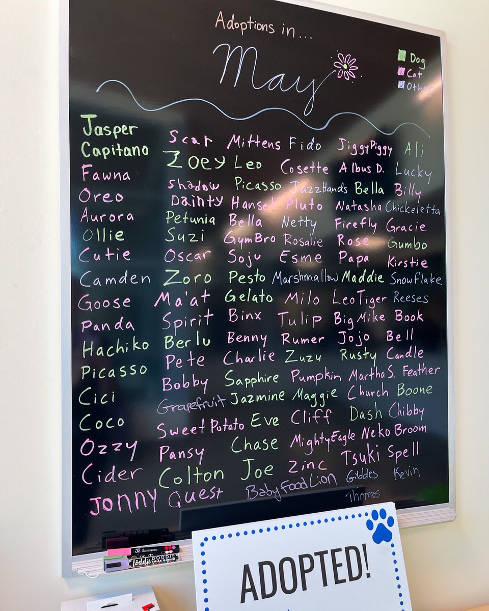 118 adoptions made for a busy May! Congratulations to all these new families! 🐶🐱🐰🐹