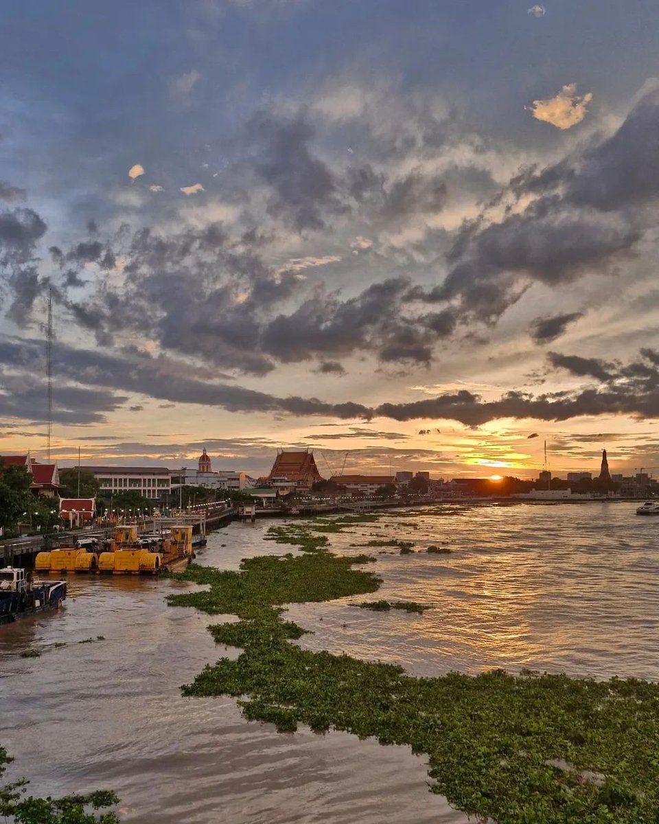 Thorada's tweet photo. Wonderful walk by the river today—Yodpiman Flower Market in the rain, then golden sun broke through just in time for a perfect sunset at Memorial Bridge. Bangkok magic. 😎🙏 #BangkokWalks #YodpimanFlowerMarket #MemorialBridge #RainAndShine #UrbanExploration https://t.co/UXsQnPZTC2