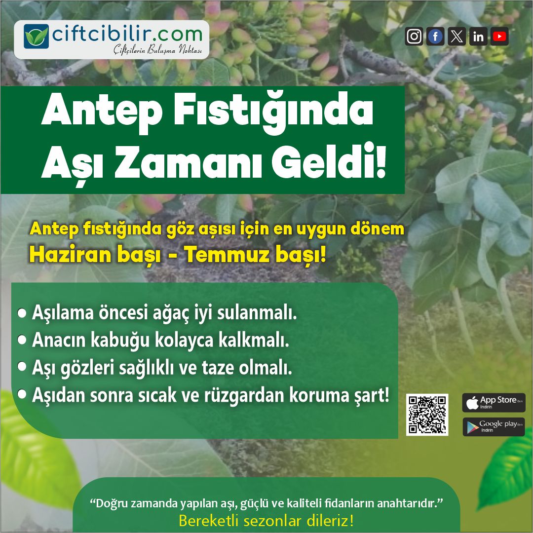 Daha fazla bilgiye sitemizin Tarım Kütüphanesi bölümünden ulaşabilirsiniz.
İlanlarınızı sitemizde ücretsiz yayınlayabilirsiniz...
ciftcibilir.com