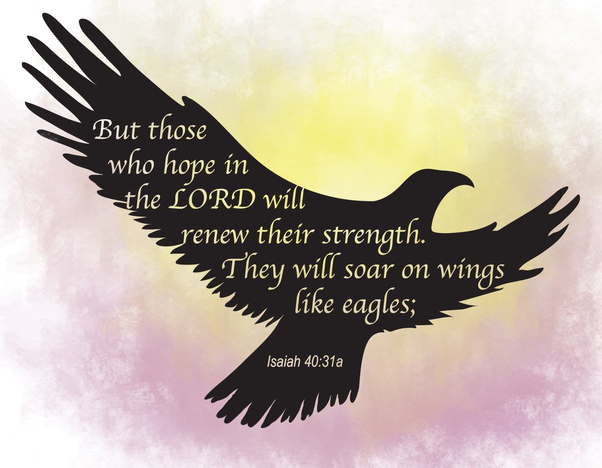jack_jacktoon's tweet photo. It's #hopefilledmonday! May the Lord renew your strength today. #hopefilledmondays #redletterawards #isaiah #eagle #encouragingword https://t.co/0RJkxdhlkp