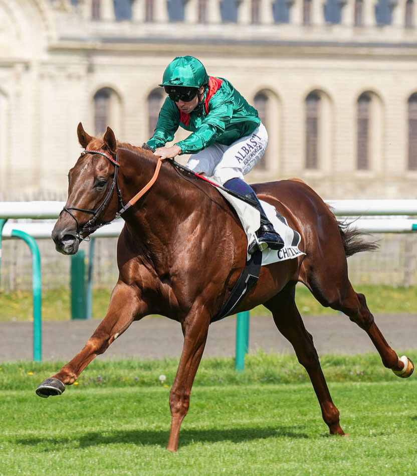 AgaKhanStuds's tweet photo. 🟢🔴 The Aga Khan Studs are excited to supplement unbeaten colt #Midak for Saturday's Gr.1 Derby @EpsomRacecourse.
The 246th running of this prestigious Classic will be run in honour of the Aga Khan IV, who won 5 times with #Shergar, #Shahrastani, #Kahyasi, #Sinndar & #Harzand. https://t.co/3crCevzm2f