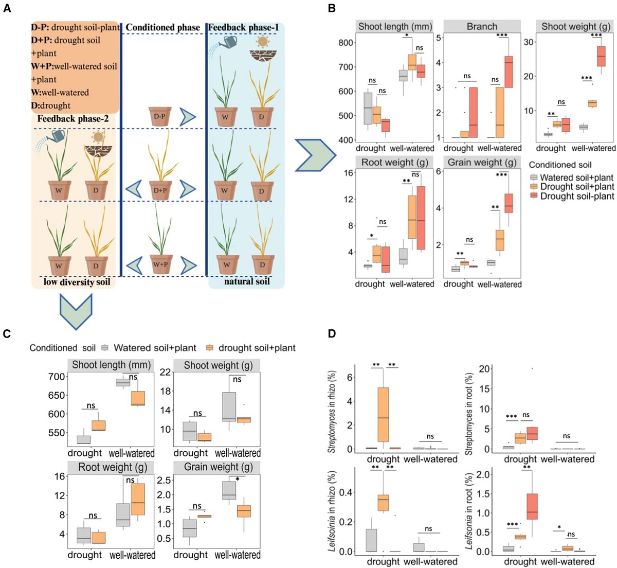 DsouzaAjwal's tweet image. Drought rewires the wheat microbiome, enriching soil with helpful bacteria improves drought tolerance.
@Prof_Braj_Singh @cellhostmicrobe
Li et al mapped soil, root, and rhizosphere communities in wheat under drought with genomics and culturing.
Drought boosted total…