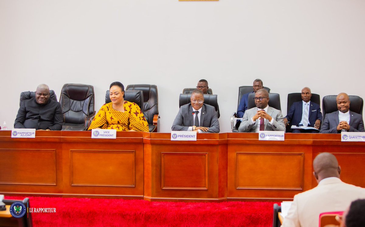 Assemblée Provinciale de Kinshasa tweet media