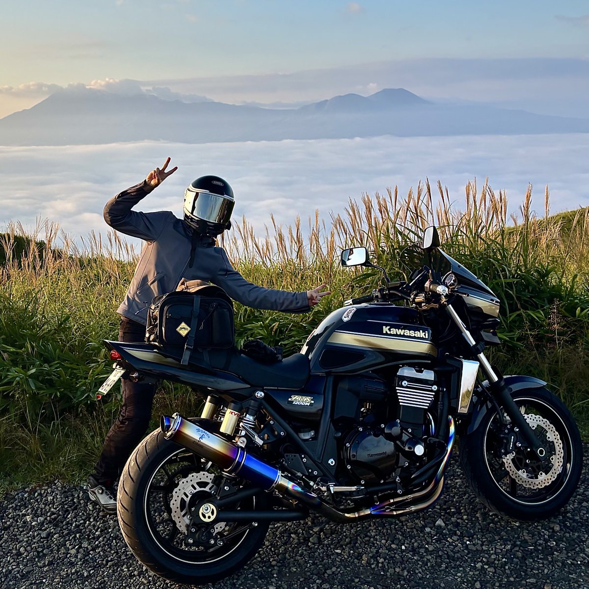 トワタ tweet media