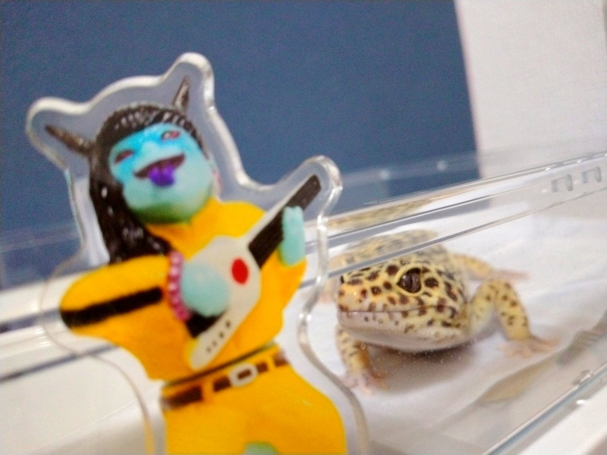 nmo25023's tweet image. 昨日のビッキャでの初めての八八ライブ楽しかった!!!余韻でまだ、体がぽわぽわしている。
お留守番もお疲れ様。仲良くできるといいね🦎
やってる意味のない事が大切僕なりにがんばってる🌼🥁🎸