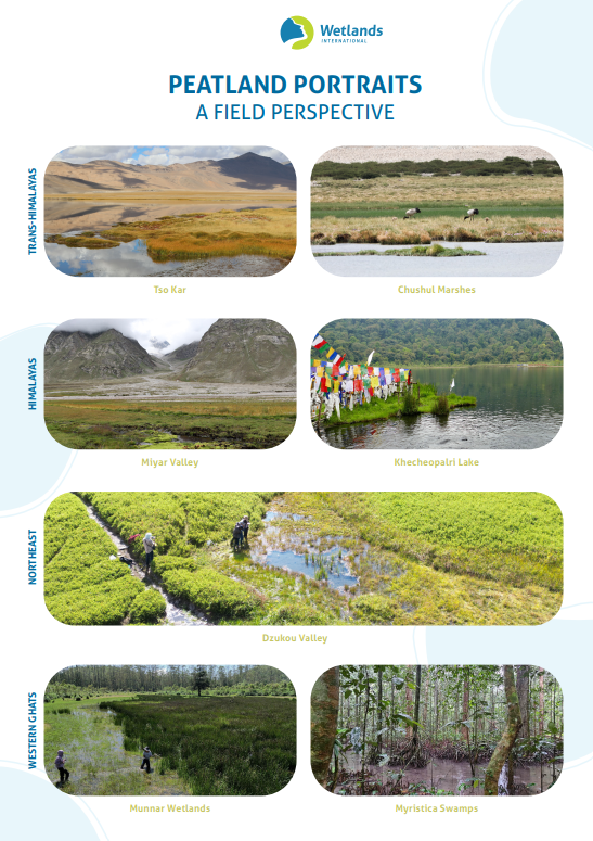 🌍 Today is #WorldPeatlandsDay!

Peatlands cover just 3% of Earth's land but store nearly 550 billion tonnes of carbon, twice as much as all the world's forests combined. Let's protect these vital ecosystems for our common future. 🌱

#ProtectPeatlands #ClimateAction