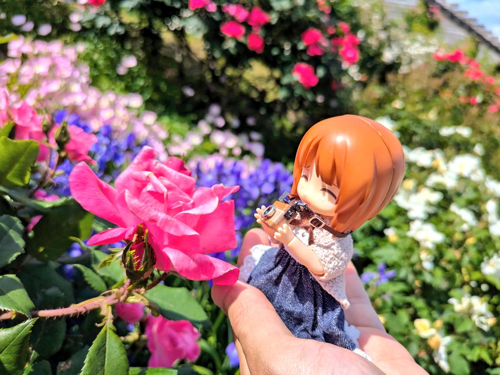 色とりどりのお花…みほさんはどのお花が気に入ったかな(⁠ ⁠ꈍ⁠ᴗ⁠ꈍ⁠)？
#ねんどり
#ねんどりコン2025カラフル