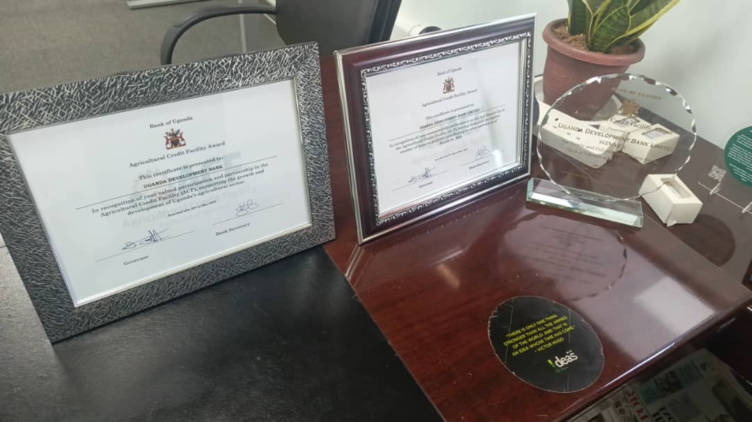 UDB was awarded by the Bank of Uganda among the best participating financial institutions in the Agricultural Credit Facility (ACF) and Small Business Recovery Fund (SBRF). The Bank won an Award for timely and full payments of loans due. In addition, UDB was recognized for; being