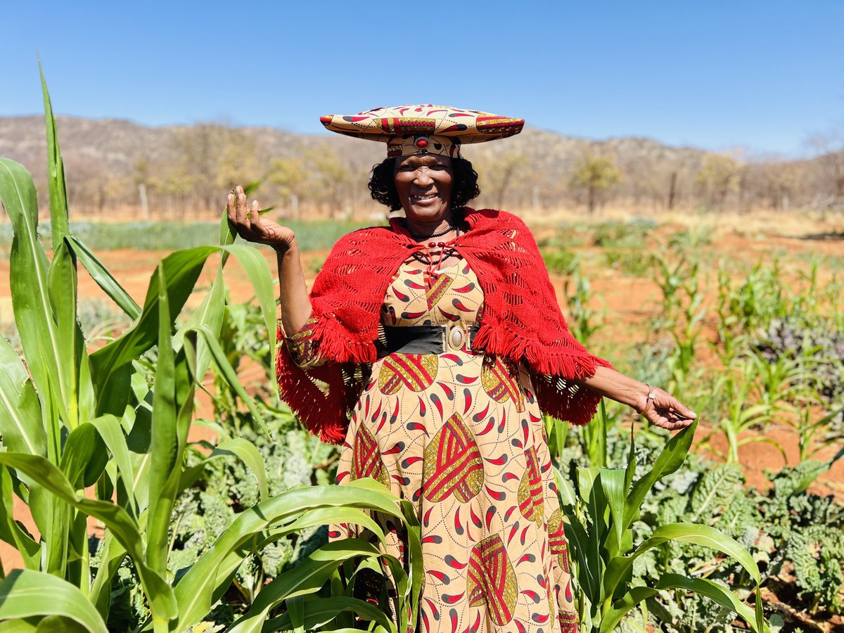 🌍 Africa is home to 12 of the world’s 20 fastest-growing economies.

As climate shocks intensify, countries across the continent are choosing sustainable, resilient paths to growth.

📸 Explore how 3 nations are leading the way in our new photo story: go.undp.org/Umc