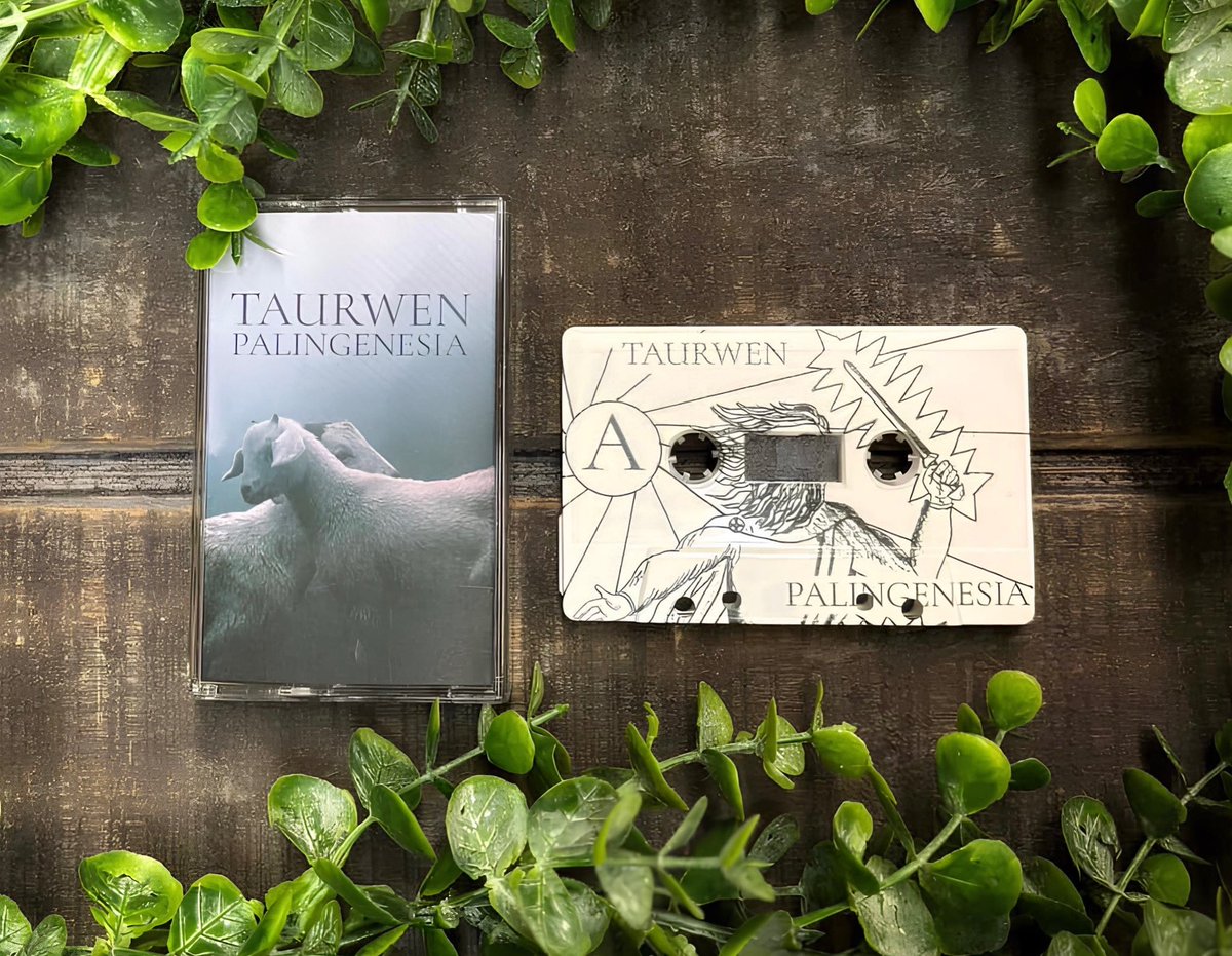 If "Palingenesia" resonates with something ancient within you, the cassette edition awaits your archive.

Follow the path: fiadh.bandcamp.com/album/palingen… <a href="/fiadhprod/">Fiadh Productions</a>