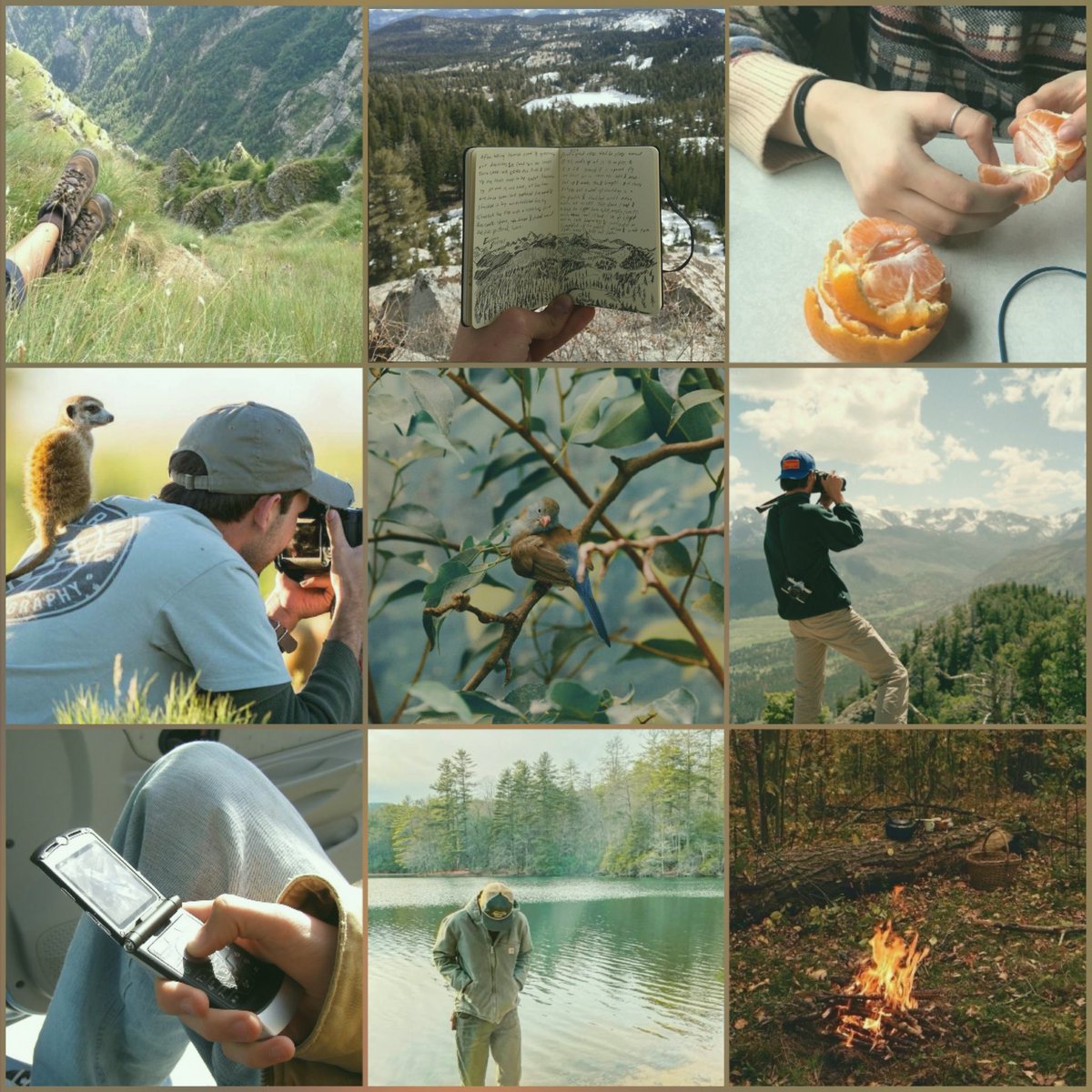 #draftingpit #Romcom

Aspen is leaving again, and his lifelong best friend Mia is running out of patience. One little lie scores him an invite to her family lake cabin, but can they convince everyone they're dating?

Ft:
🍊oranges as a love language
🪿bird metaphors
🌿fake dating