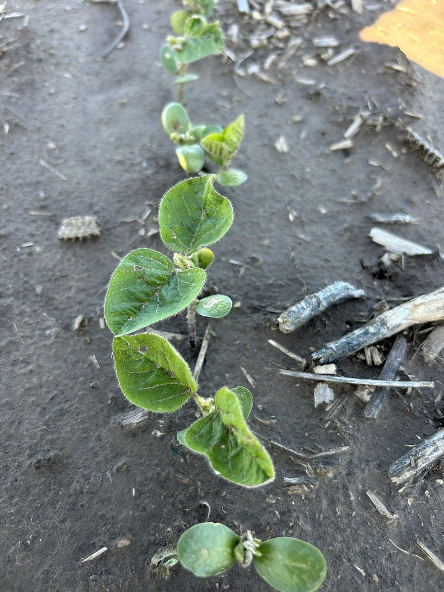 Garrett Kennedy tweet media