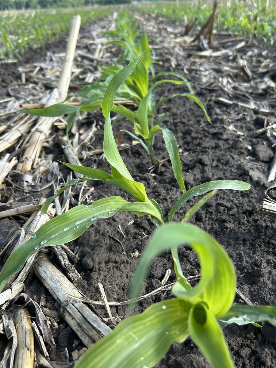 Garrett Kennedy tweet media