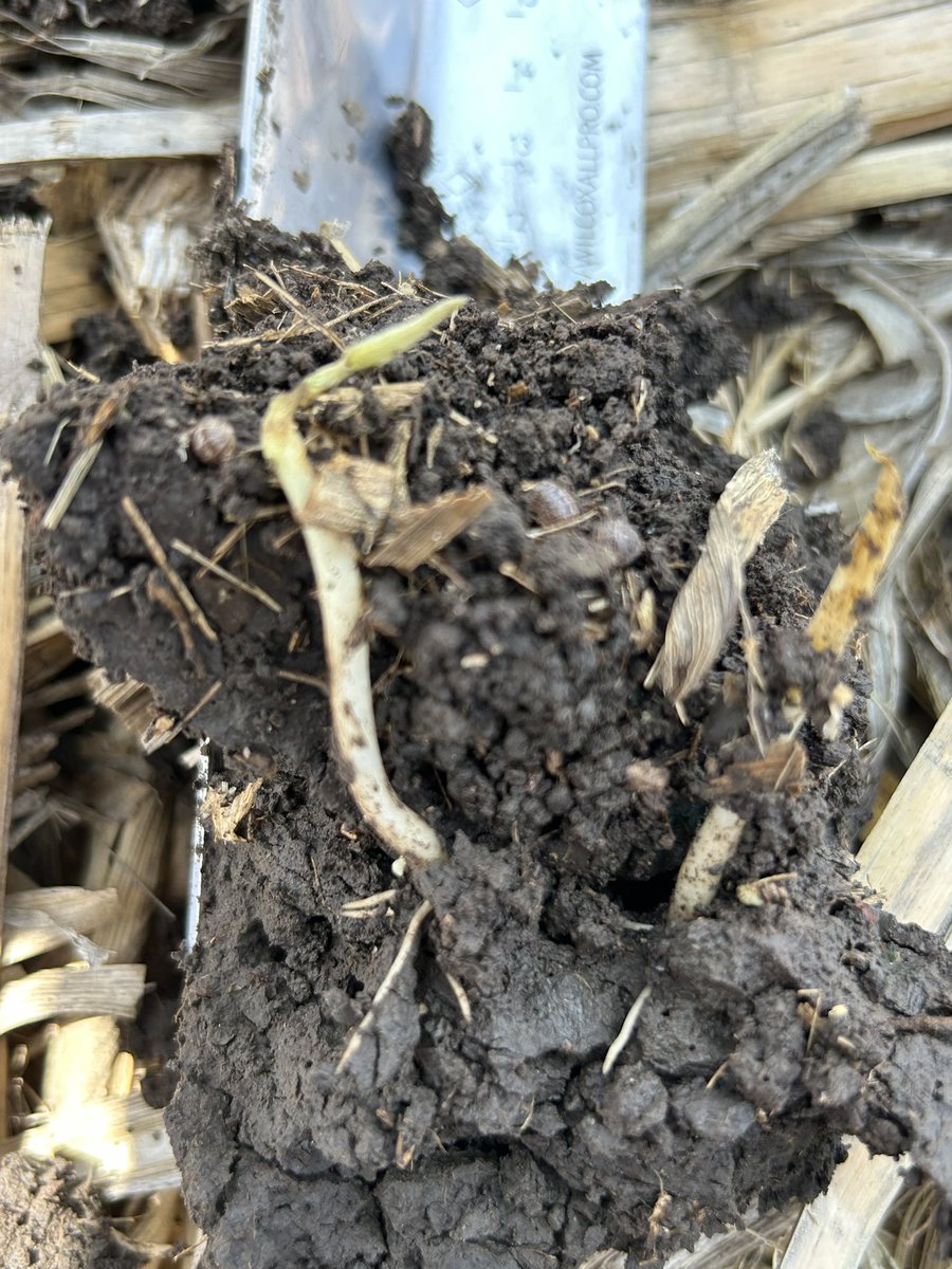 Garrett Kennedy tweet media