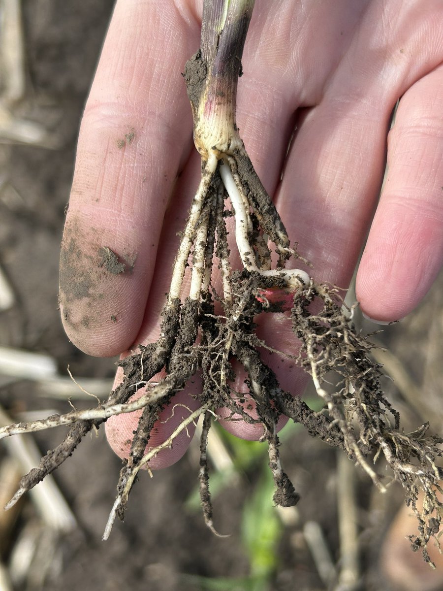 Garrett Kennedy tweet media