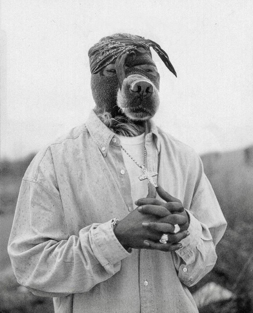Sarunas (@sharunas_) on Twitter photo I see some paid KOLs shilling copycat $mask like it is already some kind of a cult…b*tch please. It’s all exit liquidity nothing more. Not the first and not the last time $ski is copied. The one and only OG in the game - <a href="/Ski_CTO/">Ski Mask Dog</a>
Stay safe and #MaskStaysOn I see some paid KOLs shilling copycat $mask like it is already some kind of a cult…b*tch please. It’s all exit liquidity nothing more. Not the first and not the last time $ski is copied. The one and only OG in the game - <a href="/Ski_CTO/">Ski Mask Dog</a>
Stay safe and #MaskStaysOn
