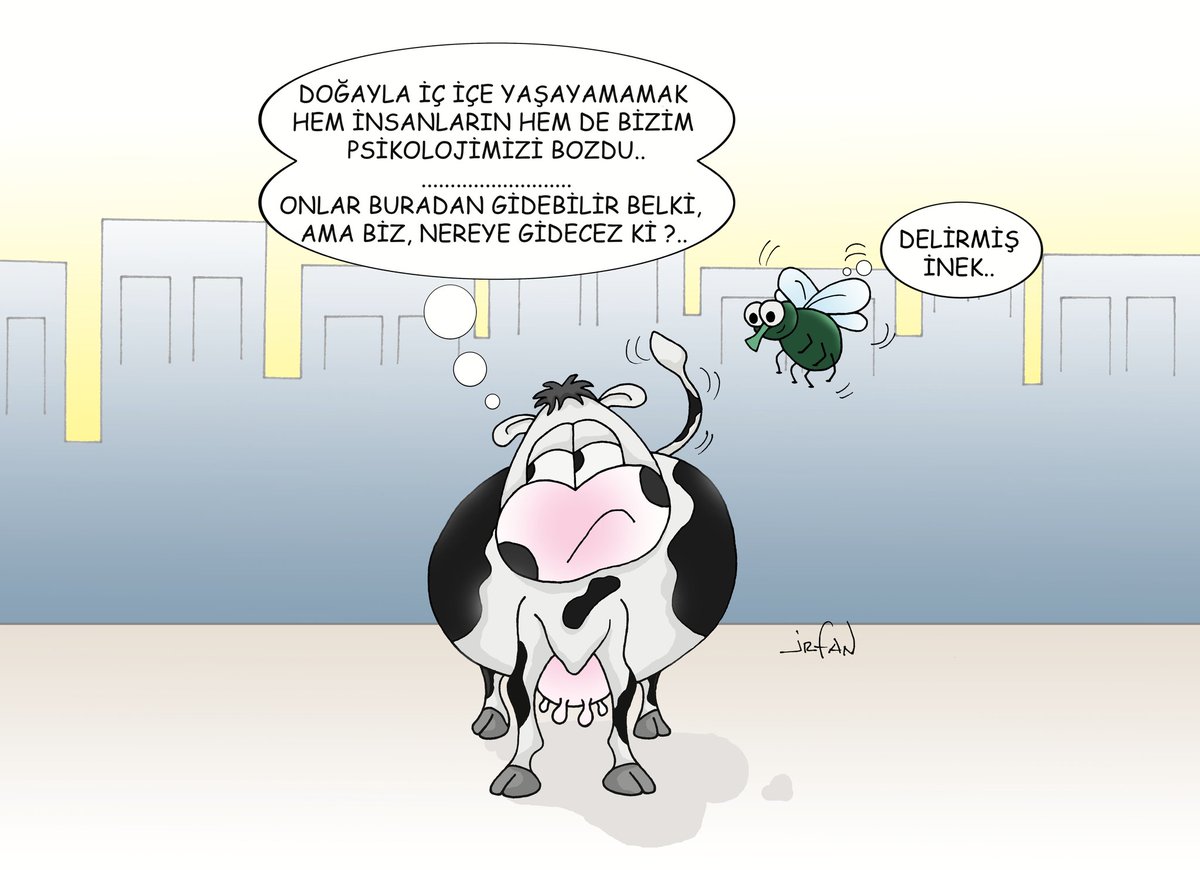 Aşırı betonlaşma tüm canlıların psikolojisini bozar.
Sağlık bir bütündür ve bu yüzden "TEK SAĞLIK" önemsenmelidir.