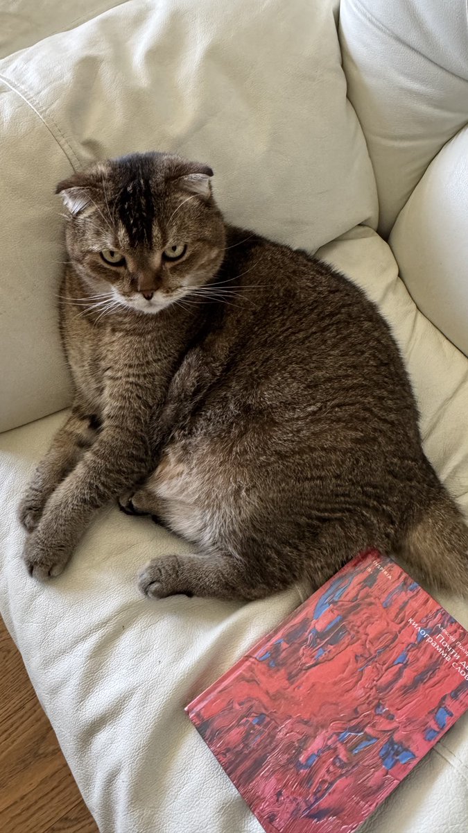 Почти десять килограммов кота и Почти два килограмма слов <a href="/Polyarinov_AV/">Алексей Поляринов</a>