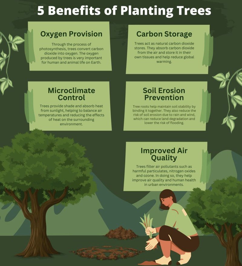 <a href="/JamesMelville/">James Melville 🚜</a> Deforestation is the much more pressing environmental concern. Tree coverage is abysmal compared to the past. Planting trees is the natural solution. Within a generation we’d reap the rewards for that.