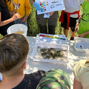 📢Jornada ambiental #Vic dijous 5 de juny #DiaMundialMediAmbient 
👉17:30 a 19h esplanada al riu Gurri (accès pel C. Indústria, 69)
✅Tallers de biodiversitat🐦🐟🦟💦🚶
🔵Activitat gratuïta, inscripcions el mateix dia, per ordre d'arribada➕tuit.cat/eQt05
#SetmanaNatura