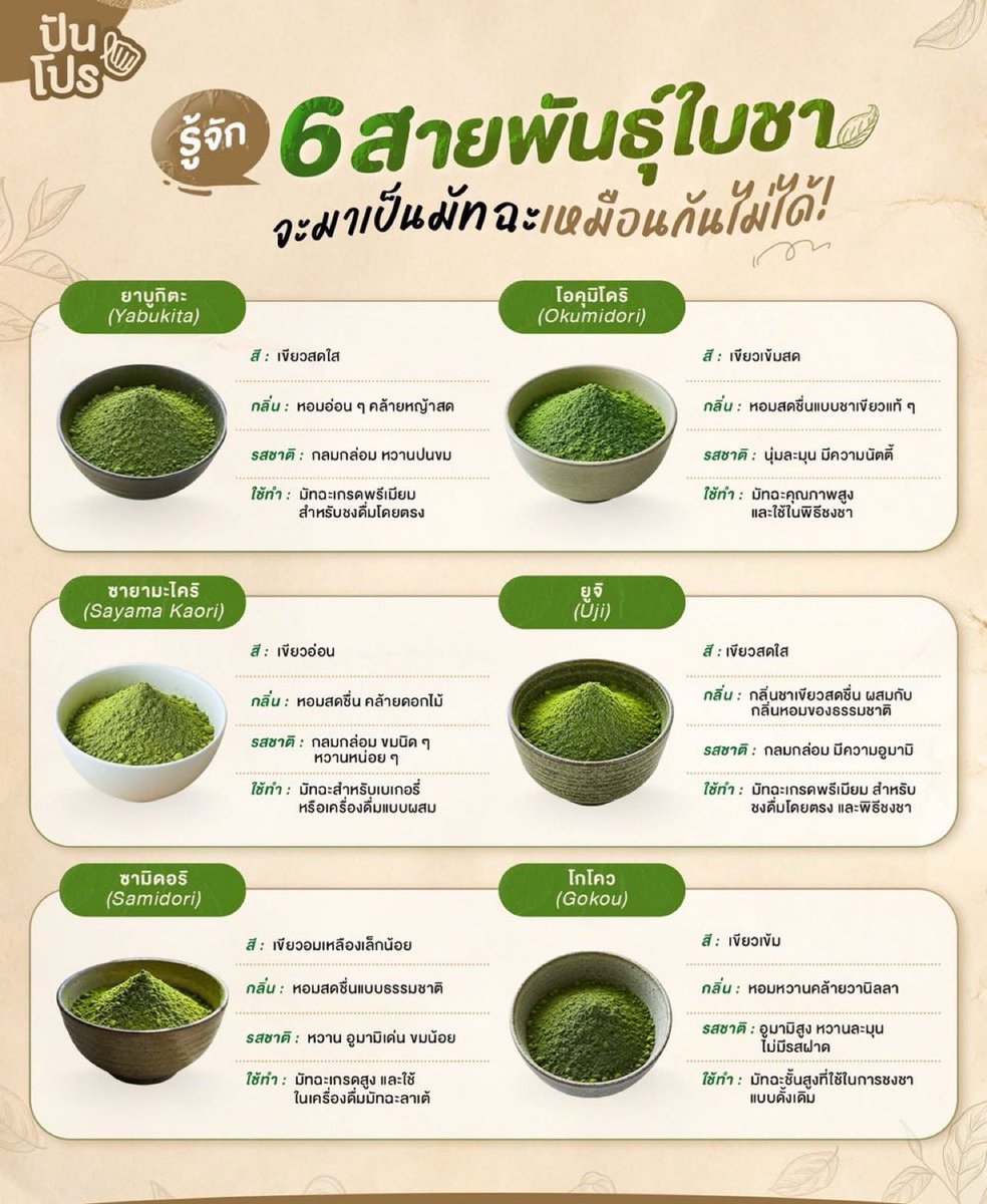 เอเวอร์เรส tweet media