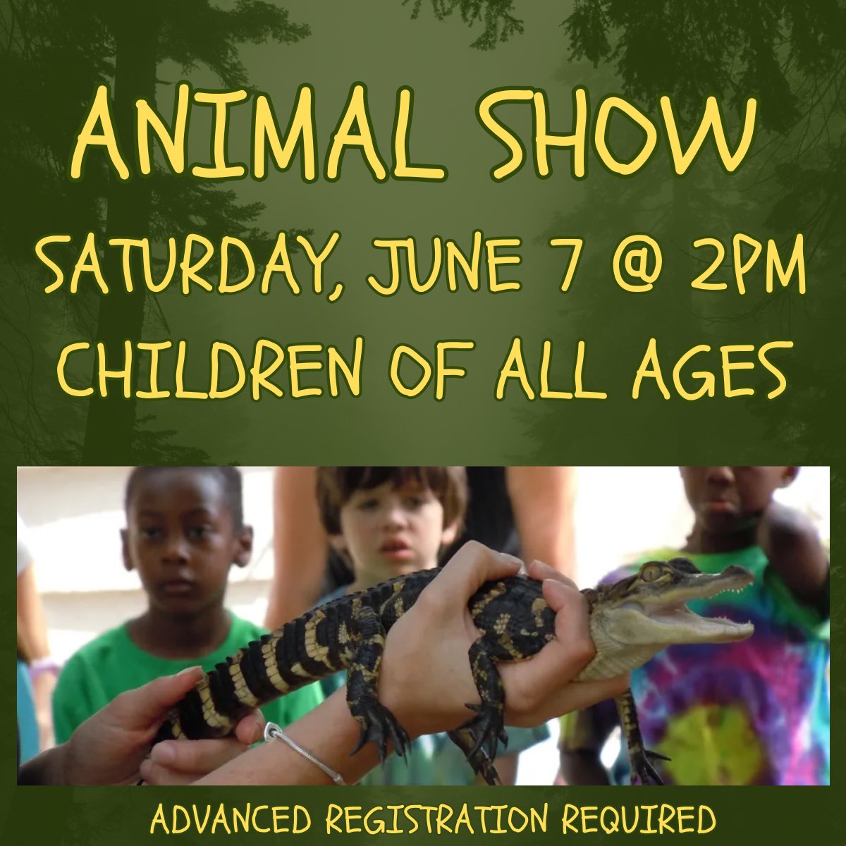The Mineola Library is hosting an awesome event on Saturday! Sign up if you’re available. mineola.librarycalendar.com/event/animal-s…