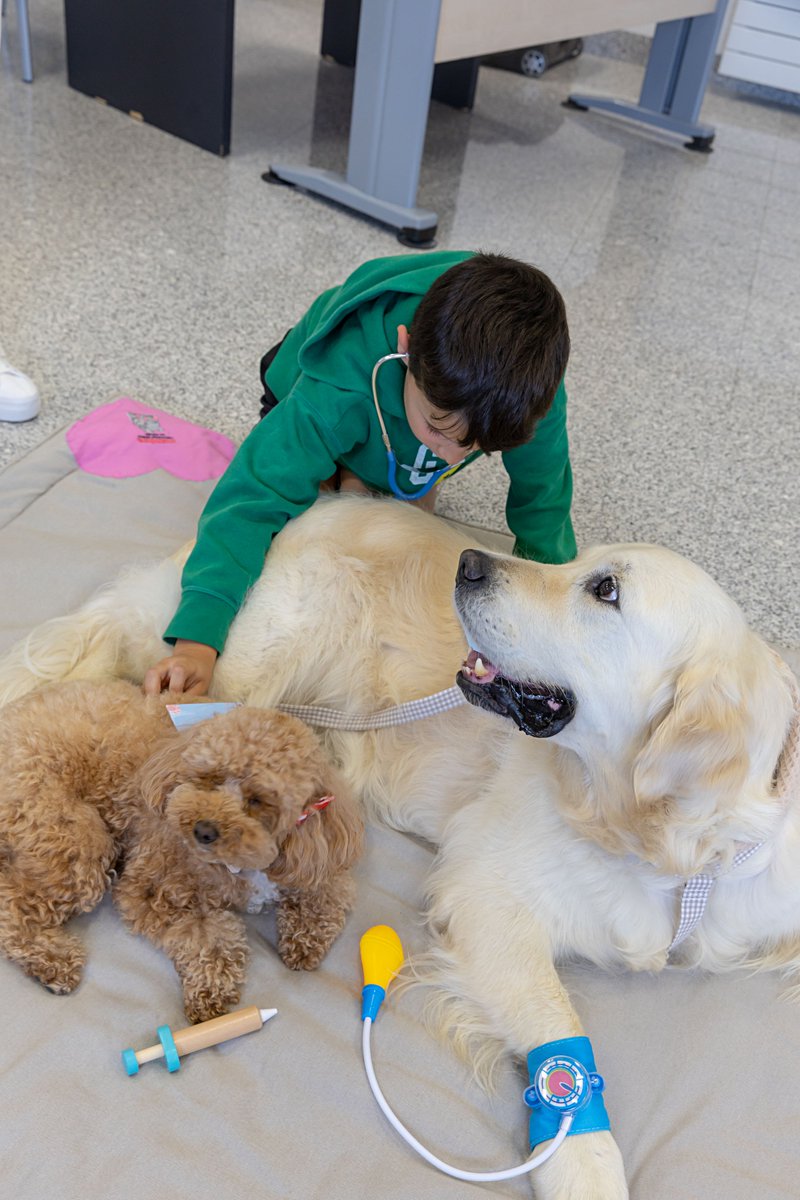 🐾Cuando la enfermedad visita la infancia, hay un consuelo que llega a cuatro patas. La terapia asistida con animales genera bienestar emocional: reduce el estrés y crea un espacio seguro donde ser niño y amigo. Es apoyo emocional. Gracias, amigos de Mumkoa Klaus &amp; Mathilda 🐶