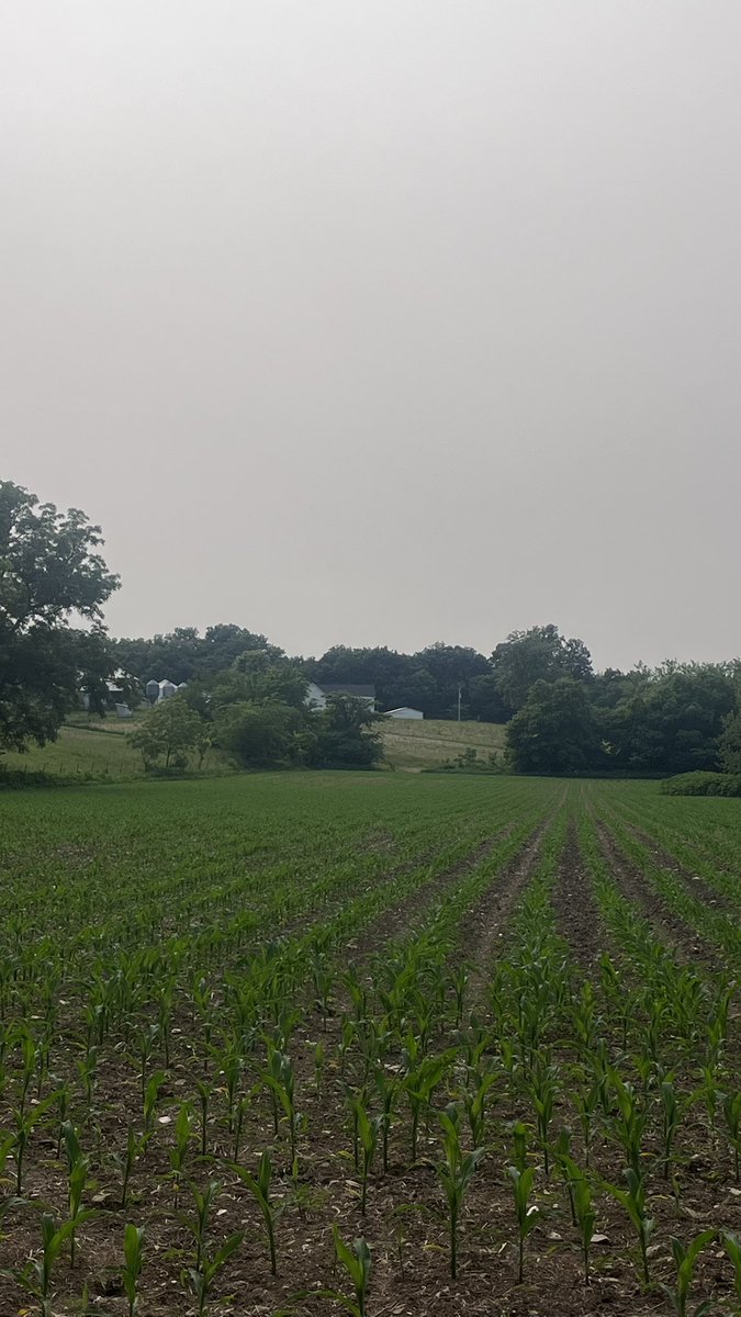 Never ever did I think I would say it…. #IYKYK