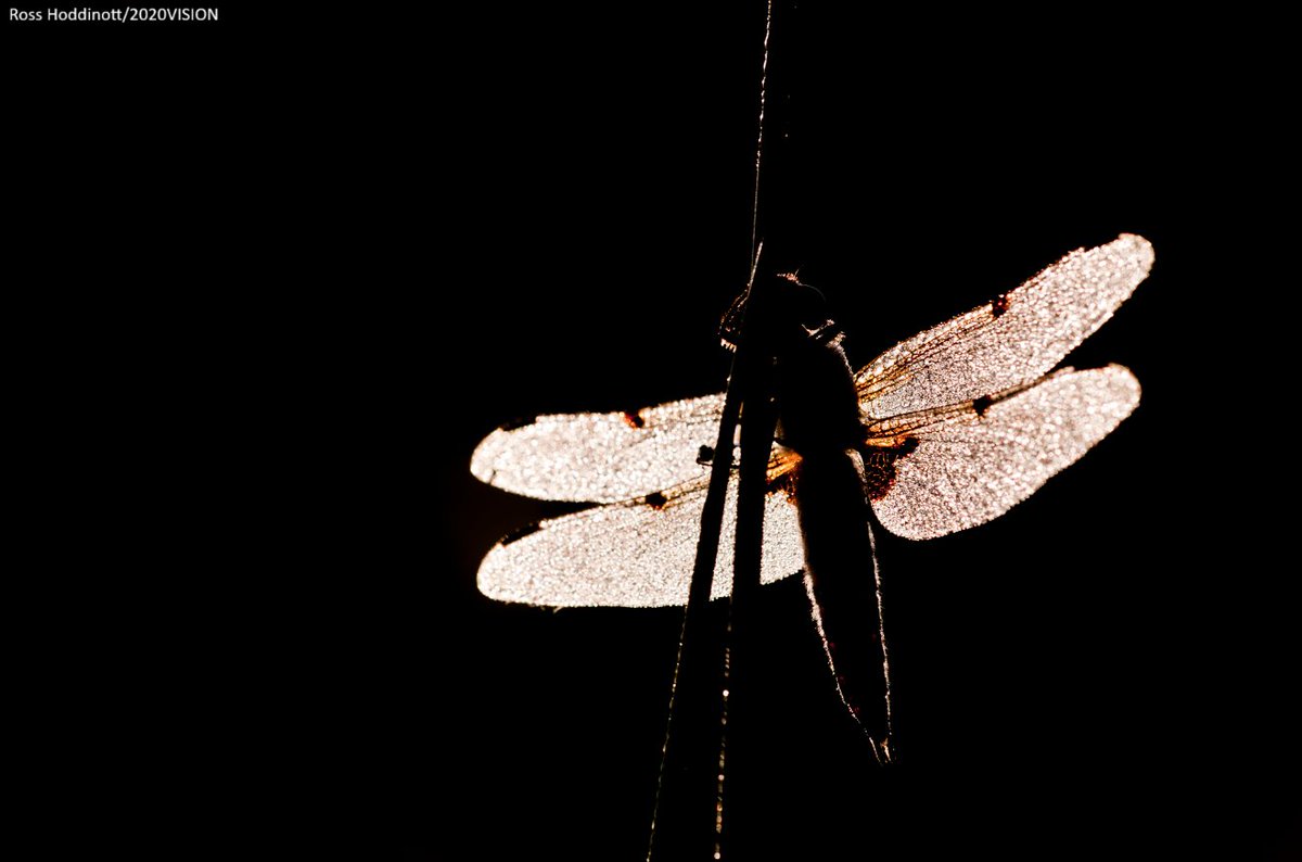 📣 EXCITING JOB VACANCY: Assistant Management Accountant
💷 Salary: up to £28,000
⏰ Closing Date: 8th June

Do you have strong communication skills, great attention to detail, and experience using Excel?

Apply now 👇
wildlifetrusts.current-vacancies.com/Jobs/Advert/38…