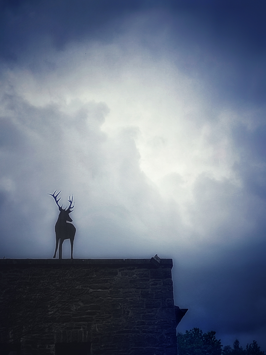 Dirk Schulte
Abend mit Hirsch
2025