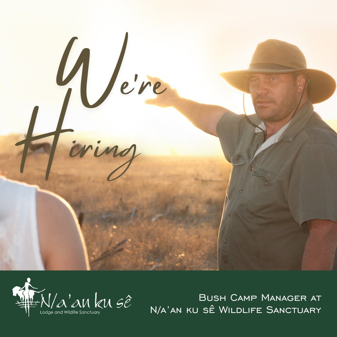An exciting and challenging opportunity is available for a Bush Camp Manager to join our team. The successful incumbent will be based at the N/a’an Ku Sê Wildlife Sanctuary, Farm Frauenstein No. 277, Khomas District, Windhoek, Namibia.

naankuse.org/careers