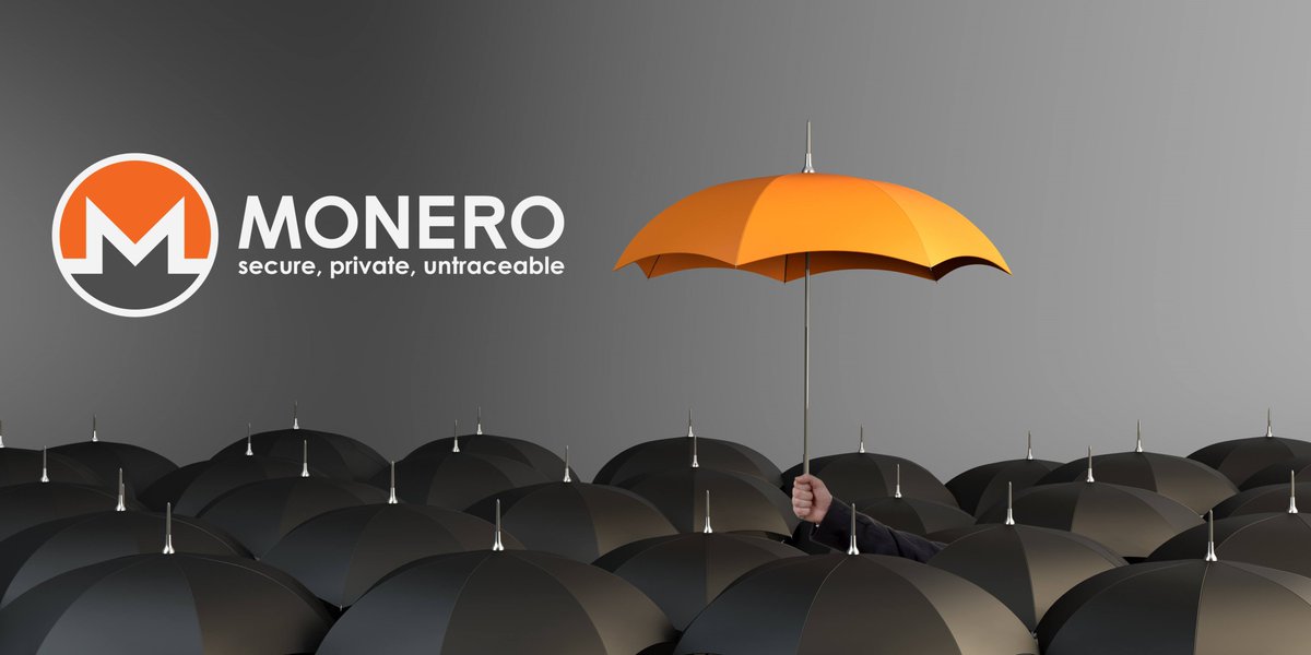 Monero only. 

Because anything else is just surveillance with a price tag.