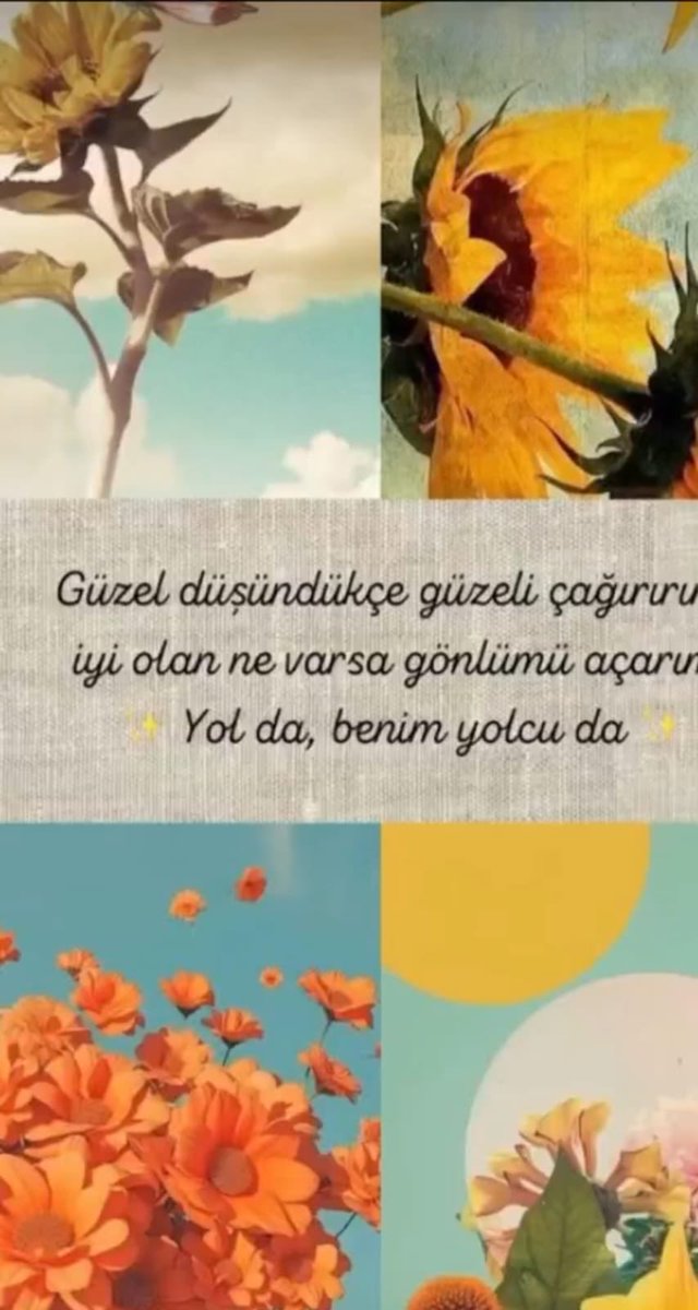 Yüksel Eyüboğlu (@eyuboglu_yuksel) on Twitter photo 