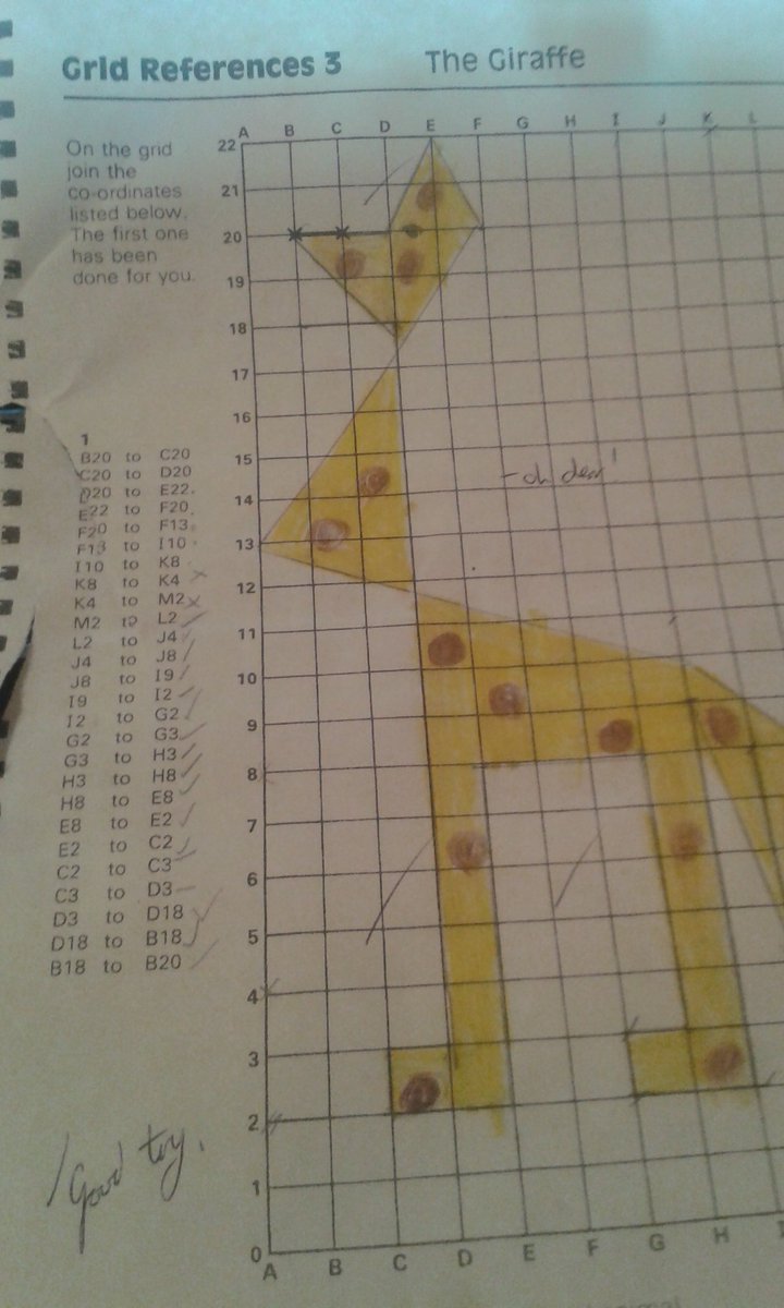 RosieMacLeod4's tweet image. I have got better at #maths since year 6 ! #mathstruggles