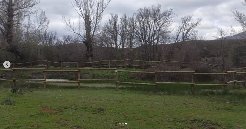 Cátedra de Medio Ambiente (@catedramedioamb) on Twitter photo El proyecto #BosquesSinérgicos ejecuta una nueva acción en humedales de Sierra Norte de Guadalajara. Se ha protegido una charca del ganado vacuno mediante vallado perimetral permitiendo la colonización de vegetación y fauna silvestre
<a href="/FBiodiversidad/">Fundación Biodiversidad</a>
<a href="/FGUAes/">Fundación General de la Universidad de Alcalá</a> <a href="/AdacGu/">ADAC #PueblosconFUTURO</a>
#ProyectosPRTR El proyecto #BosquesSinérgicos ejecuta una nueva acción en humedales de Sierra Norte de Guadalajara. Se ha protegido una charca del ganado vacuno mediante vallado perimetral permitiendo la colonización de vegetación y fauna silvestre
<a href="/FBiodiversidad/">Fundación Biodiversidad</a>
<a href="/FGUAes/">Fundación General de la Universidad de Alcalá</a> <a href="/AdacGu/">ADAC #PueblosconFUTURO</a>
#ProyectosPRTR