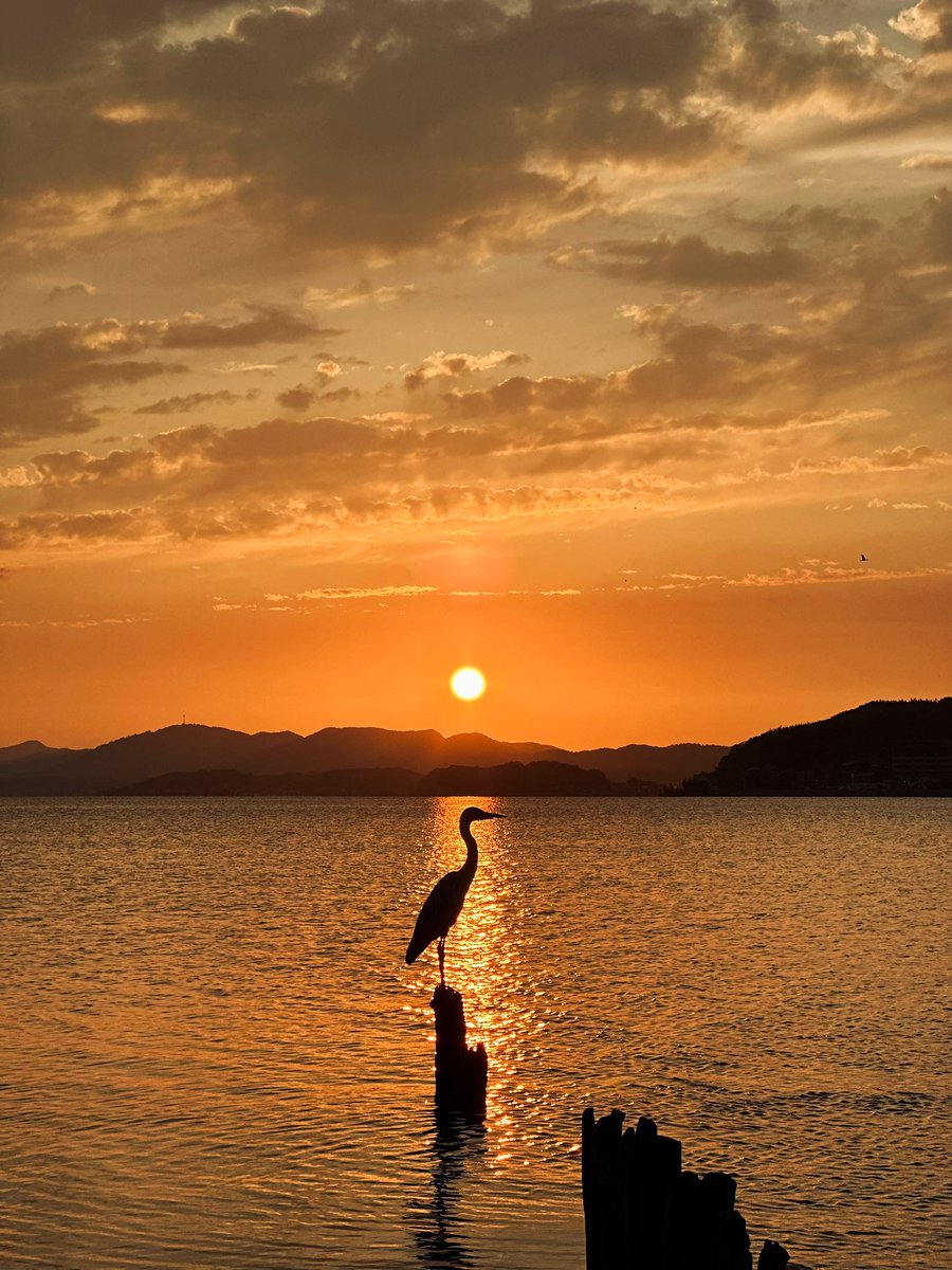 Took a short trip to San’in region last few days and this is the sunset of Lake Shinji, Matsue 🌅

先週、山陰地方へ小旅行に行った際、松江の宍道湖で絶景の夕日を追いかけました。
