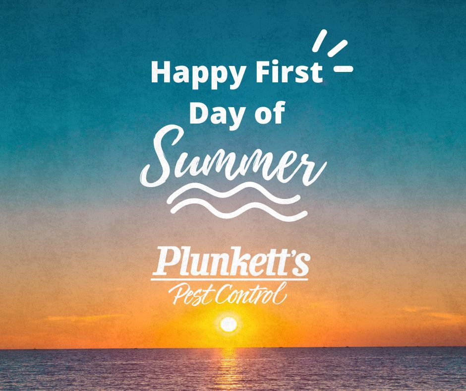☀️ Happy First Day of Summer from all of us at Plunkett’s! 🕶️

Long days, warm nights, and time to relax—summer is all about enjoying the peace. But pests? They didn’t get the memo. 🐜🦟

We’re here to help you keep the pests out, so you can make the most of every sunny moment.