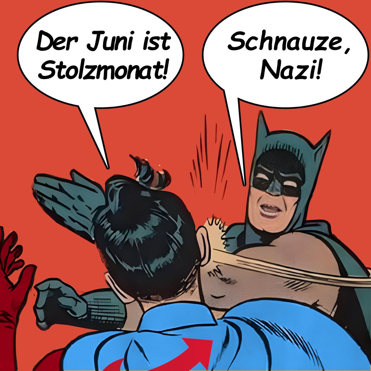 #HappyPrideMonth #stolzdummies
#AfDmachtDumm #AfDmachtDummeNochDuemmer