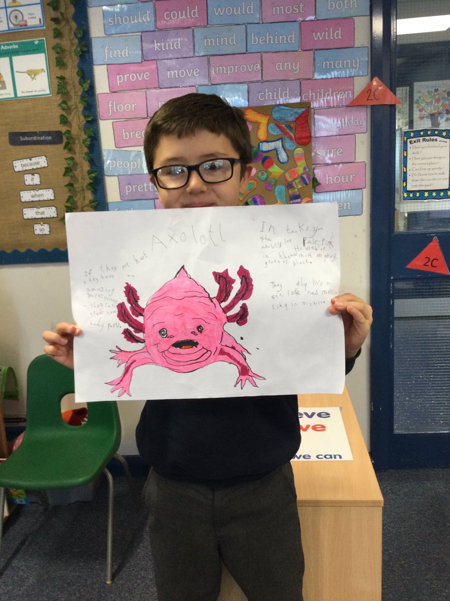 2C have been amazing animal detectives over the half term break! Look at these fantastic home learning projects! <a href="/St_Wilfrids_CE/">St Wilfrid's</a> <a href="/LT_Trust/">Learning Together Trust</a>