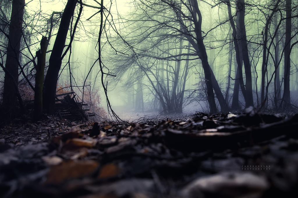 Sleeping ballad by Janek Sedlar