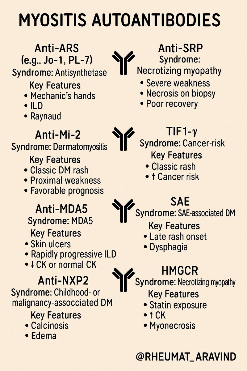 Rheumat_Aravind's tweet photo. Myositis Autoantibodies:
@IhabFathiSulima #MedTwitter https://t.co/unCrR54Khu