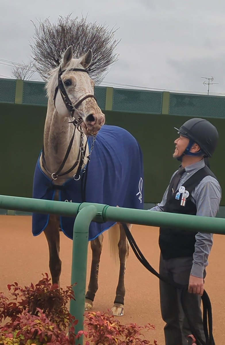 おとうふ tweet media