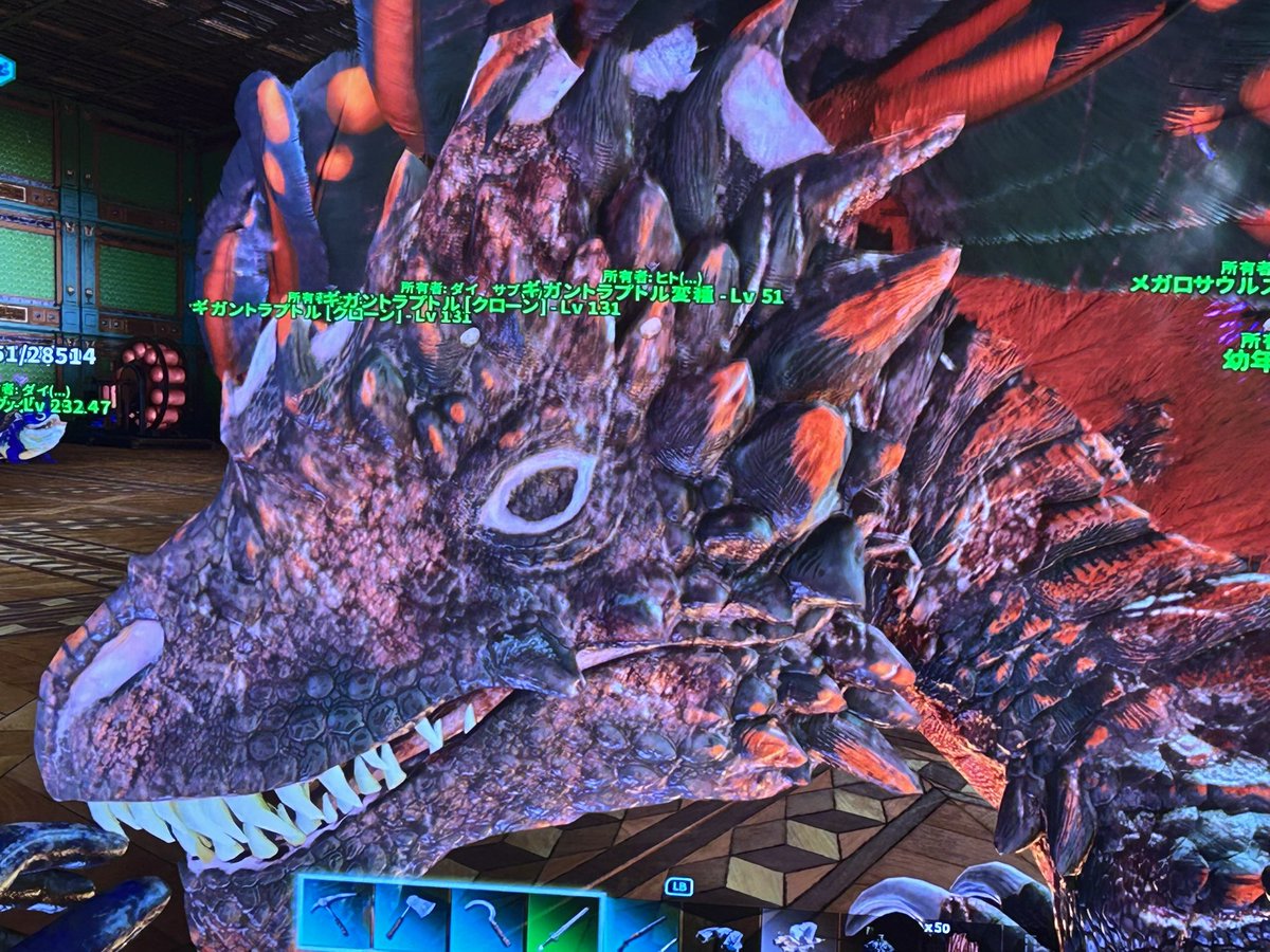 ロクドレの赤ちゃんよく見たら目がなくてホラーだった😇
#ARKSurvivalAscended