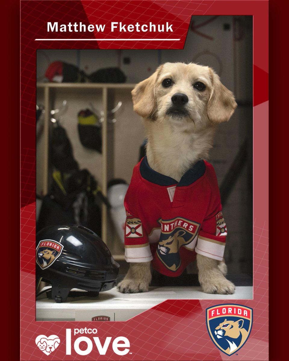 Matthew Fketchuk will represent the Florida Panthers in this year's Stanley Pup.

nhl.com/fans/stanley-p…