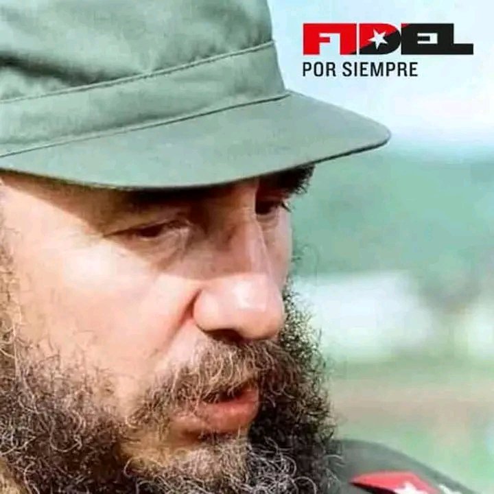 #FidelPorSiempre: “Cuba no es enemiga de la paz, ni reacia al intercambio o la cooperación entre países de diferentes sistemas políticos, pero ha sido y será intransigente en la defensa de sus principios”.

  (De la Reflexión "El caballo de Troya": 2 de junio de 2009).