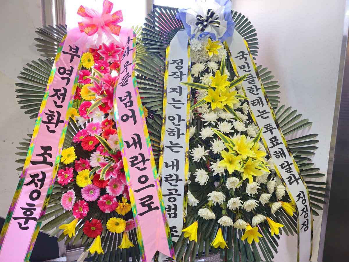 제피 🌺 (@keummokseo) on Twitter photo 