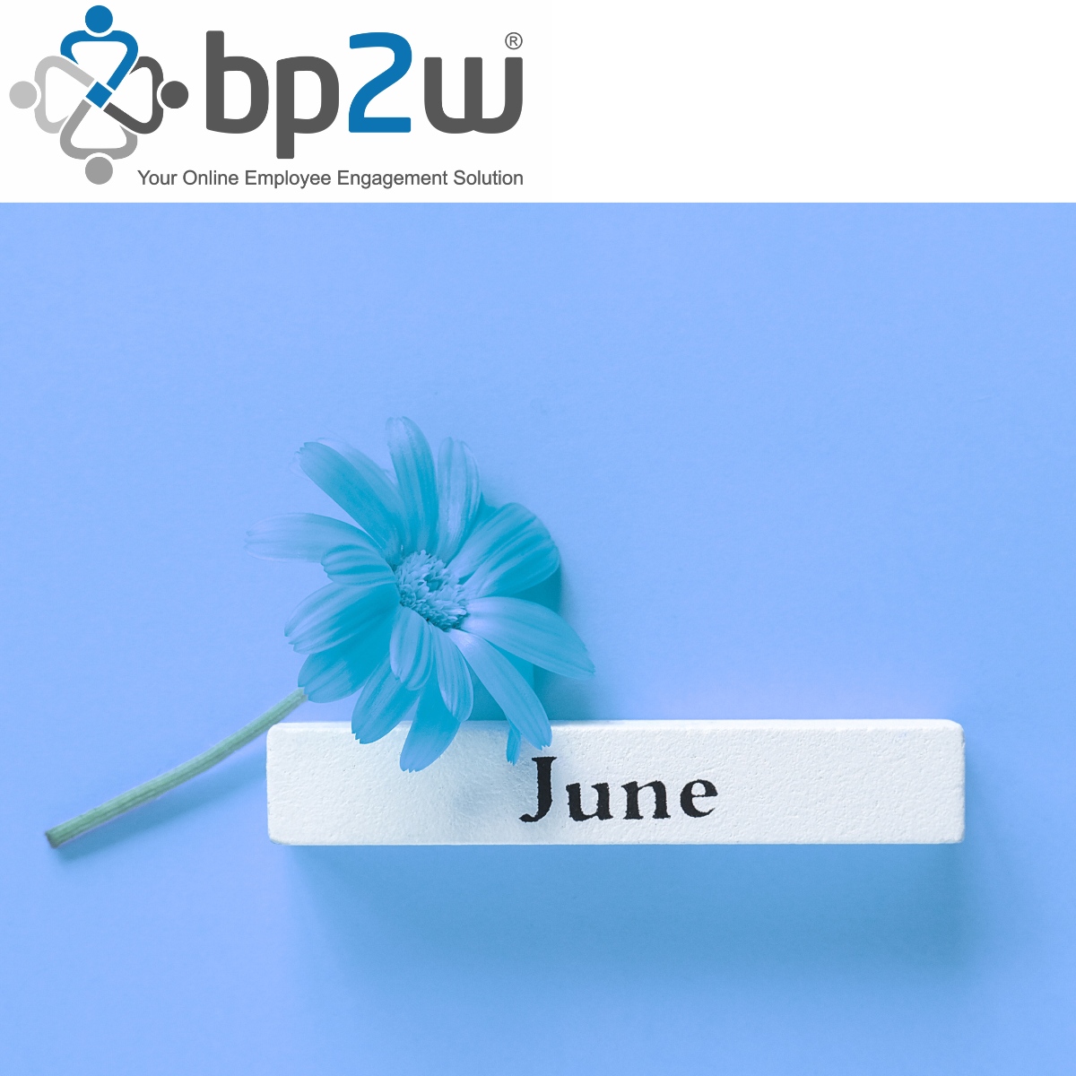 bp2w® - An Even Better Place to Work tweet media