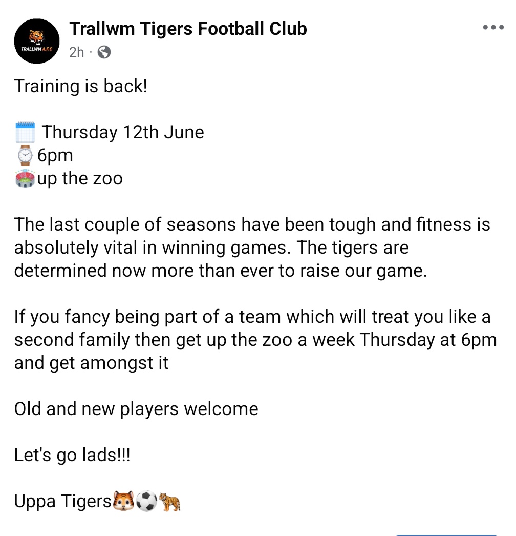 🐅🐅🐅⚽🐯🐯